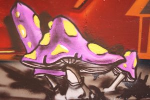 Die Geschichte des Graffitis ist untrennbar mit der Hausreinigung verbunden. Das Entfernen der Graffiti-Kunst von der Hauswand kann zum Widerspruch gegen die Nebenkostenabrechnung führen, wie hier ersichtlich. (#1)
