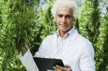 Cannabis-Anbau: Erlaubt oder illegal?