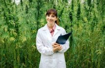 Cannabis-Legalisierung in Deutschland: Kiffen bald erlaubt?