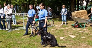 Die Polizei Hessen: Ein interessanter und spannender Arbeitgeber