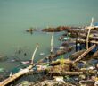 Wasserverschmutzung: Folgen, Urteile und was bereits dagegen getan wird ( Foto: Shutterstock- s0urav_diaz )