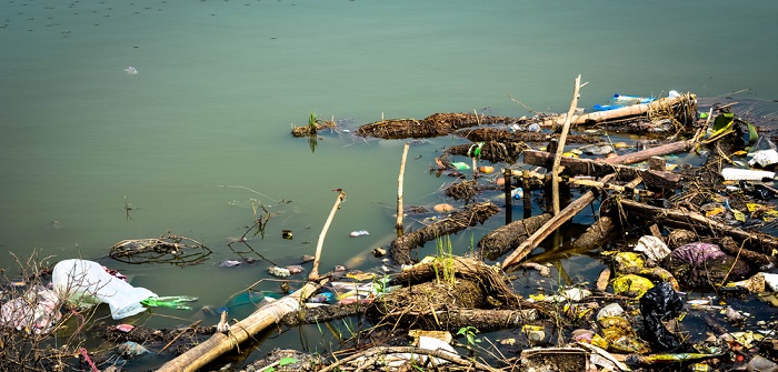 Wasserverschmutzung: Folgen, Urteile und was bereits dagegen getan wird ( Foto: Shutterstock- s0urav_diaz )