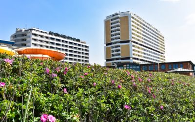 Auf Sylt wird es in Zukunft nur noch in wenigen Fällen neue Hotels geben. (Foto: AdobeStock - David 319044846)