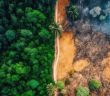 Pflanzenzüchtungstechniken unterstützen bei Klima-, Biodiversitäts- und (Foto: Adobestock - Peter 575429866)