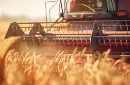 Kritik an EU-Saatgutrechtsreform: Sorge um Saatgutvielfalt (Foto: AdobeStock - BlazingDesigns BlazingDesigns)