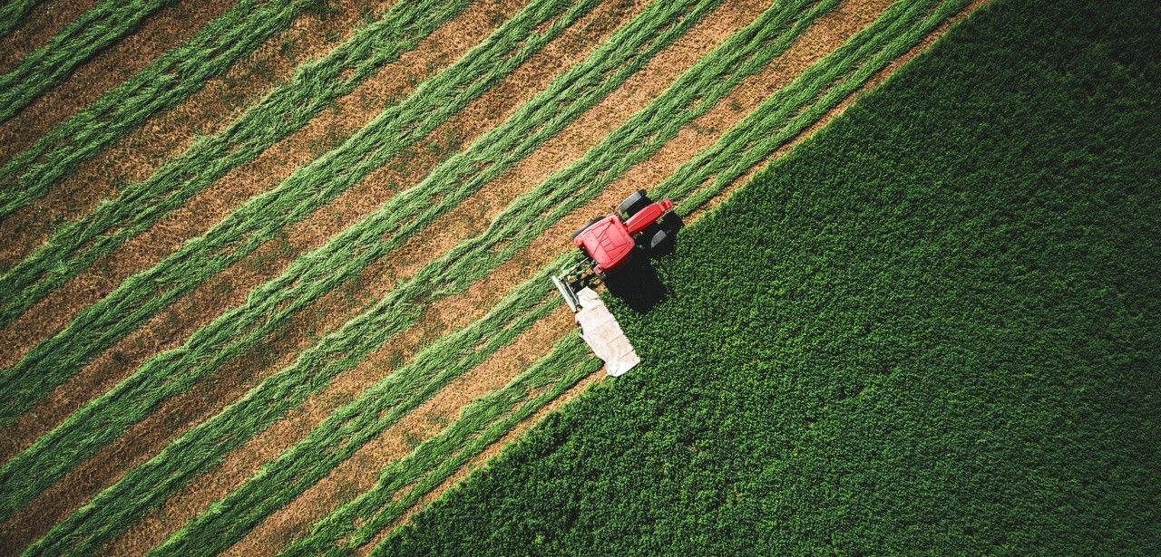 BFH urteilt gegen Vorsteuerabzug bei Land- und Forstwirten (Foto: AdobeStock - ValentinValkov 247186378)