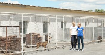 Neuer Fundtiervertrag: Tierheim Göttingen verweist ab 2023 auf Duderstadt als Anlaufstelle (Foto: AdobeStock - 170065566 Africa Studio)