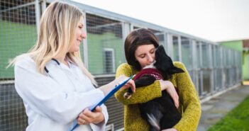 Tierheim Lippstadt und Umgebung: Alles für die Tiere Tierheim Lippstadt und Umgebung: Alles für einen gelungenen Start mit Ihrem neuen Haustier (Foto: AdobeStock - 233995759 hedgehog94)