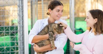 Tierheim Walldorf: Ein Refugium für Tiere auf der Suche nach einem liebevollen Zuhause (Foto: AdobeStock - 566810447 Jack F)