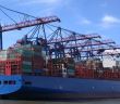 Ab 1. Oktober: Digitales SRO-Freistellungsverfahren für Containerimporte in (Foto: DAKOSY)