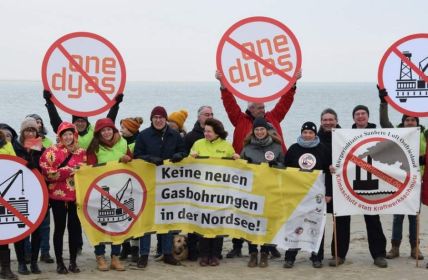 Gericht verpflichtet Niederlande zur Prüfung von Borkumse Stenen (Foto: Deutsche Umwelthilfe)